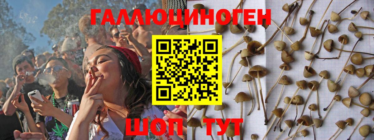 Чайковский  Псилоцибиновые грибы мухоморы  Вход с VPN  Галлюциногенные грибы Magic Shrooms 