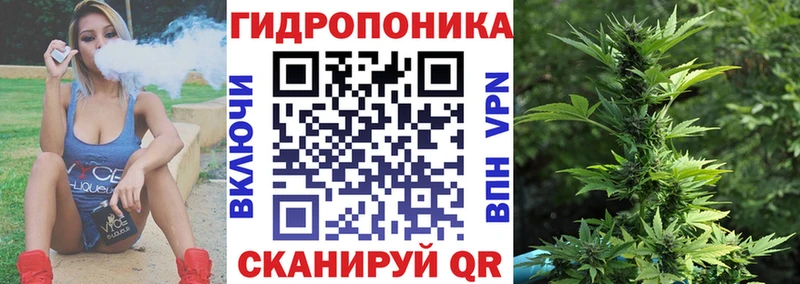 цена наркотик Чайковский Шишки марихуана семена