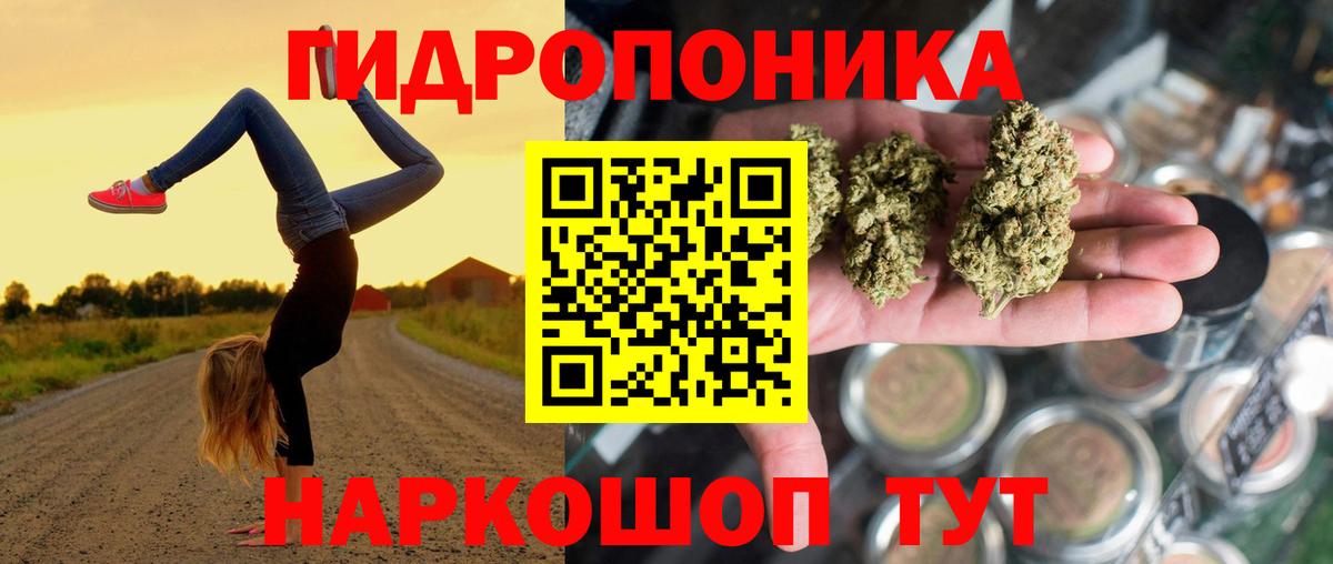 Бошки марихуана Ganja Чайковский
